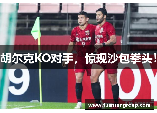 胡尔克KO对手，惊现沙包拳头！